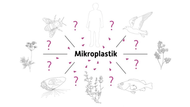 Mikroplastik und sein Einfluss auf das Klima: Eine Analyse der Studien