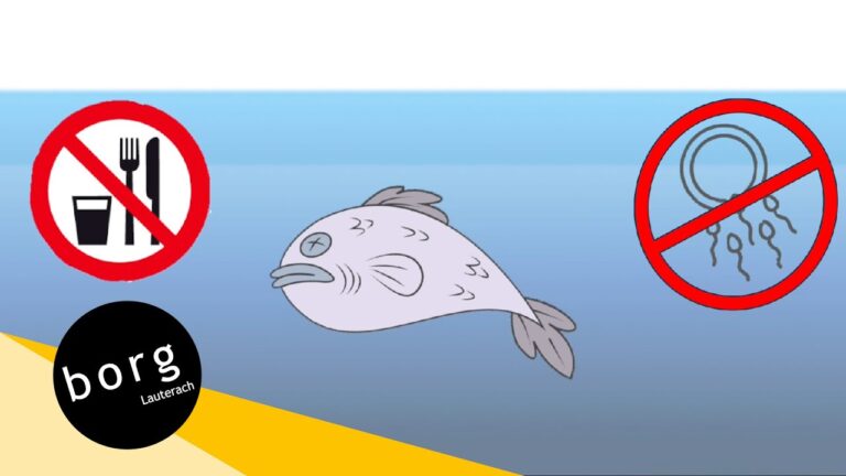 Mikroplastik in der Lebensmittelproduktion: Risiken und L&ouml;sungen