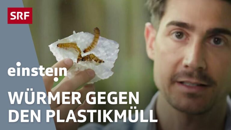 Effektive Beratung f&uuml;r Mikroplastik-Recyclingl&ouml;sungen