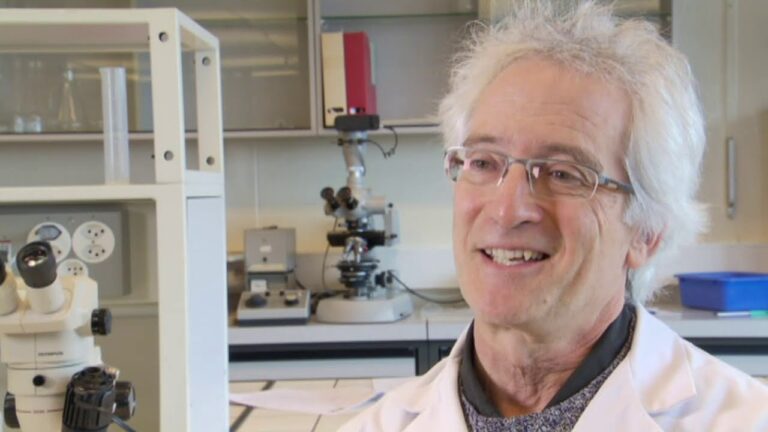 Mikroplastik und sein Einfluss auf Fische